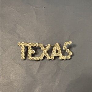 Texas Rhinestone pin